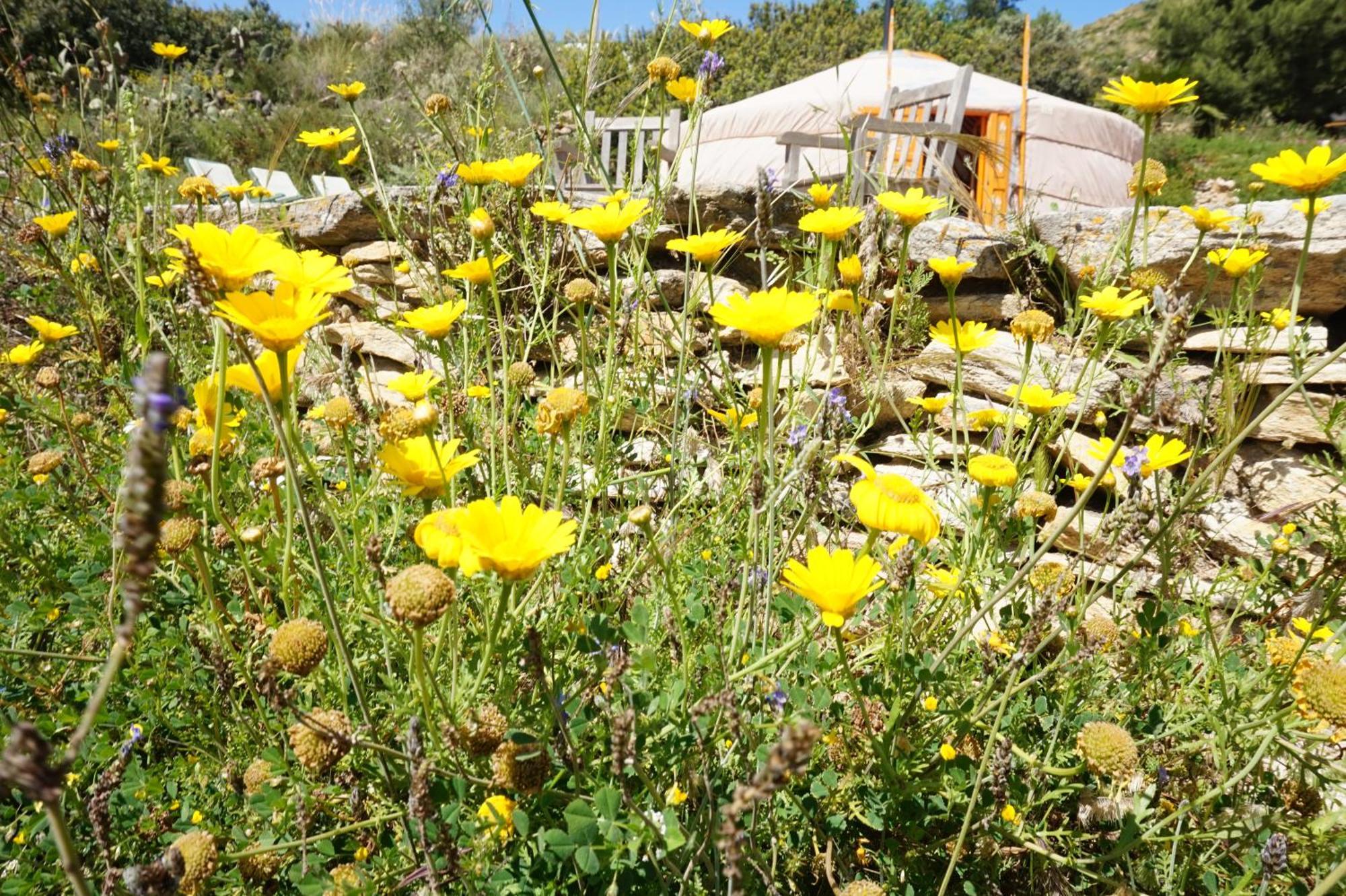 Bed and Breakfast Bed & Breakfast Alegria Y Luna à Sorbas Extérieur photo